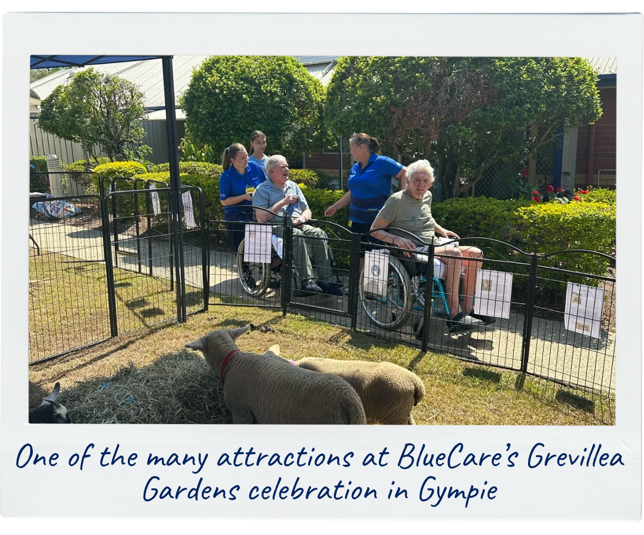 BlueCare team members are taking some residents out in wheelchairs to join in the fun and attractions at their Giving Day celebration. In this photo, they're wheeling up to a petting zoo with freshly shorn sheep.