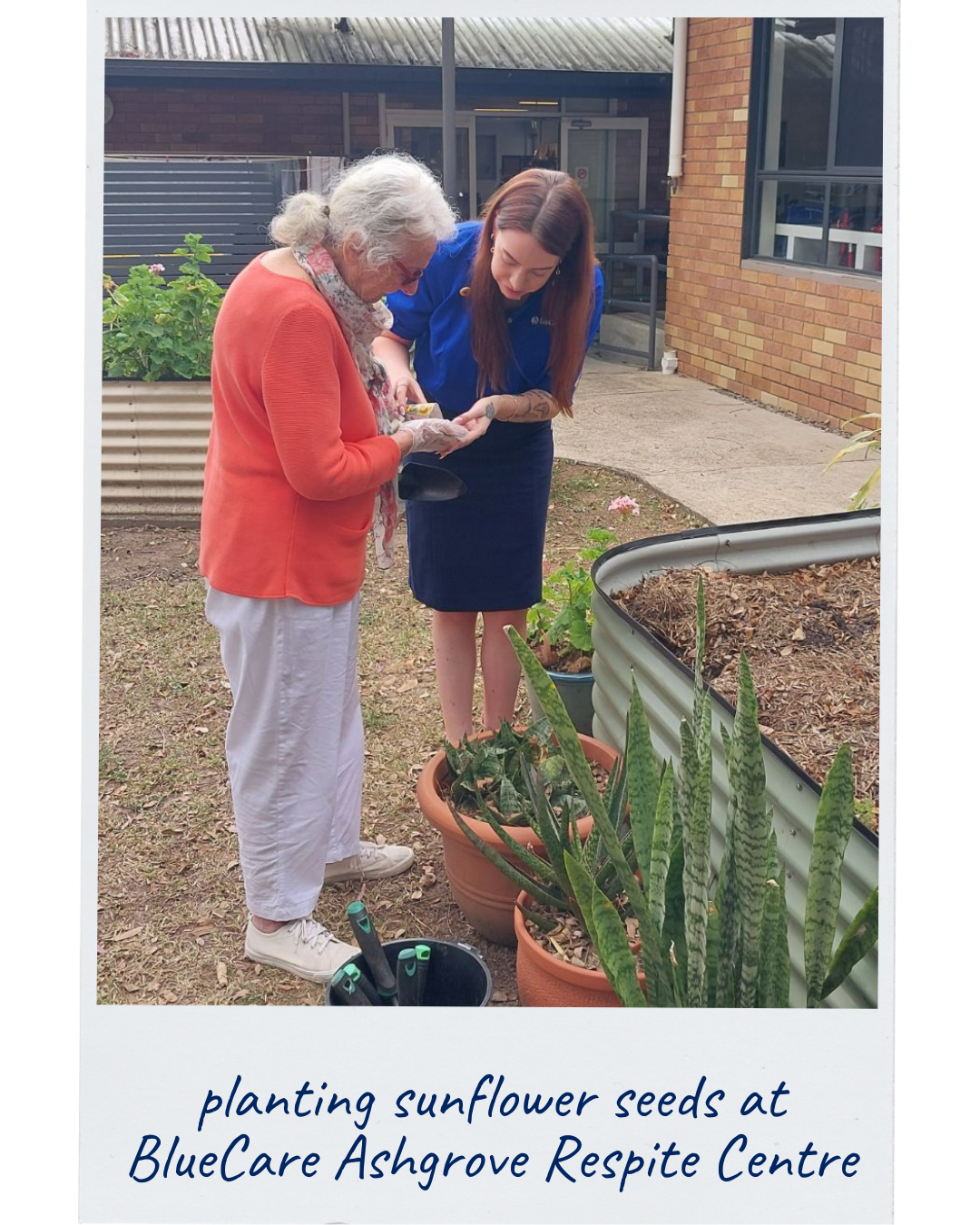 An older woman and a BlueCare team member are planting sunflower seeds in a communal garden at the BlueCare she calls home