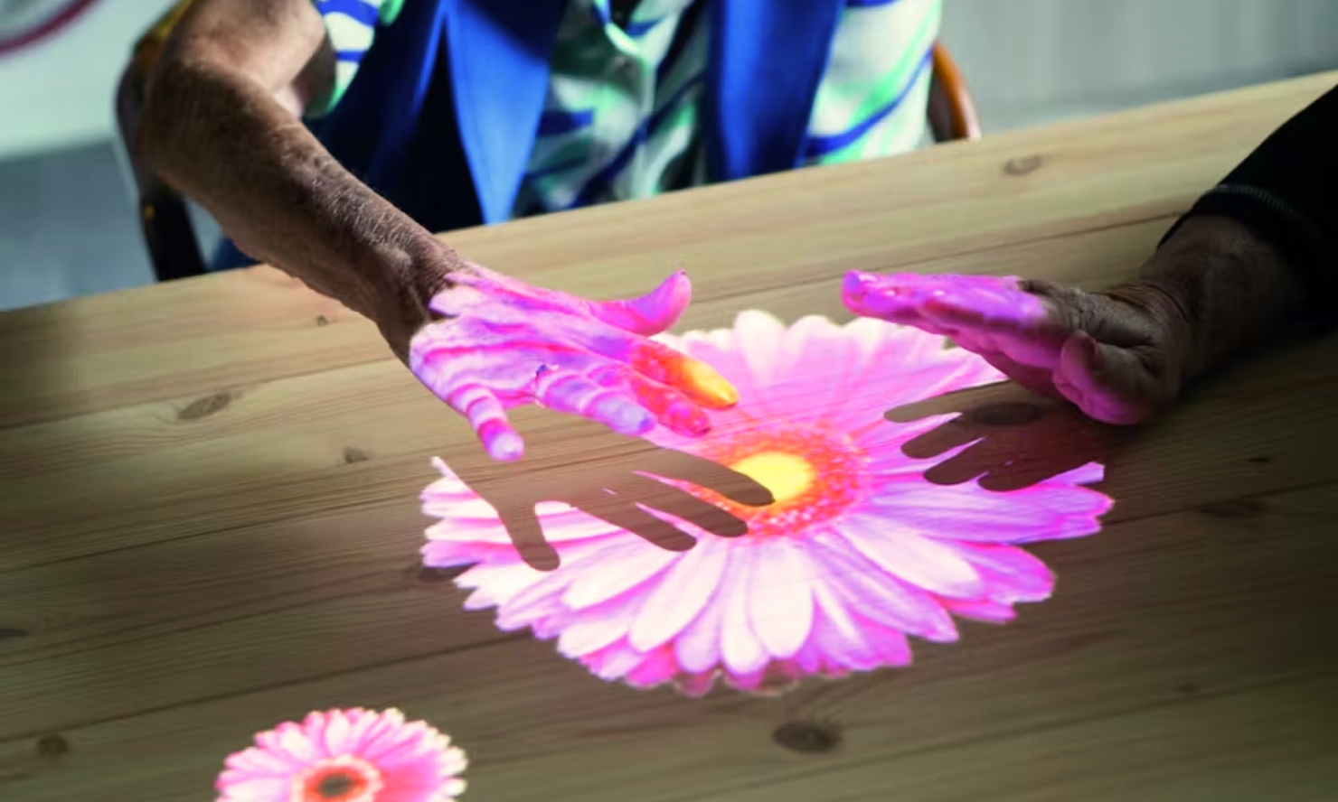Two hands interacting with a projected image of a pink gerbera daisy on a wooden table.